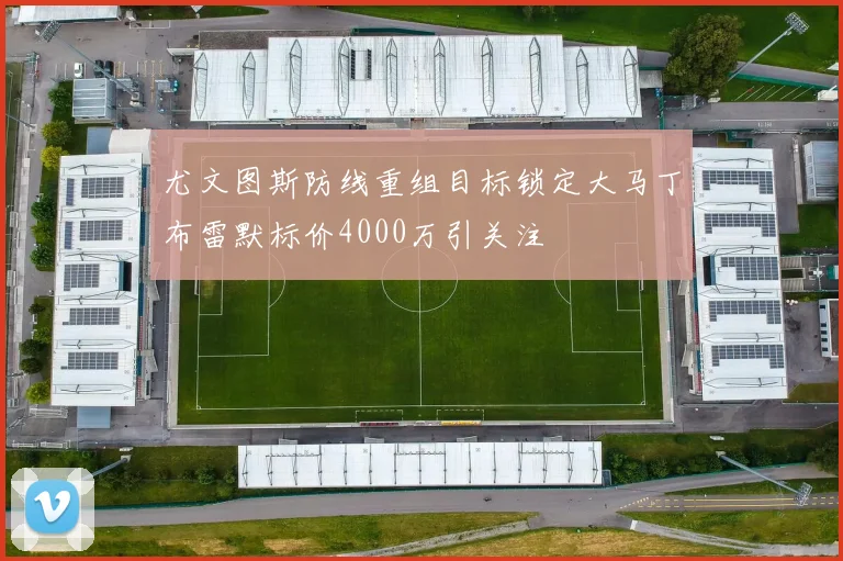 尤文图斯防线重组目标锁定大马丁布雷默标价4000万引关注