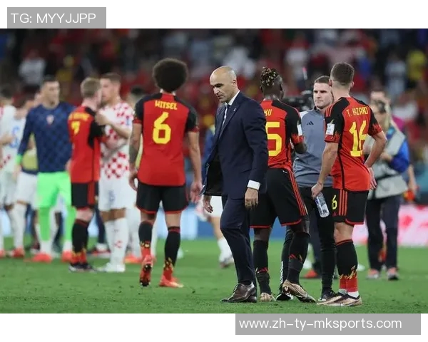 纳因戈兰谈与加西亚教练的良好关系及比利时晋级世界杯的信心