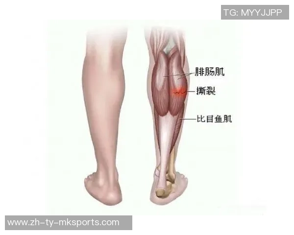 弗拉霍维奇遭遇左腿肌肉拉伤或将缺席今年剩余所有比赛 弗拉霍维奇遭遇左腿肌肉拉伤或将缺席今年剩余所有比赛